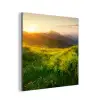 Gras - Heuvels - Zon - Natuur aluminium wit klein -3d