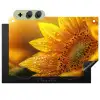 Zonnebloem - Dauwdruppels - Geel - Zonlicht Inductie beschemer met haakjes klein -3d