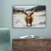Schotse Hooglander - Landschap - Sneeuw - Bergen - Winter canvas 2cm klein -sfeer4