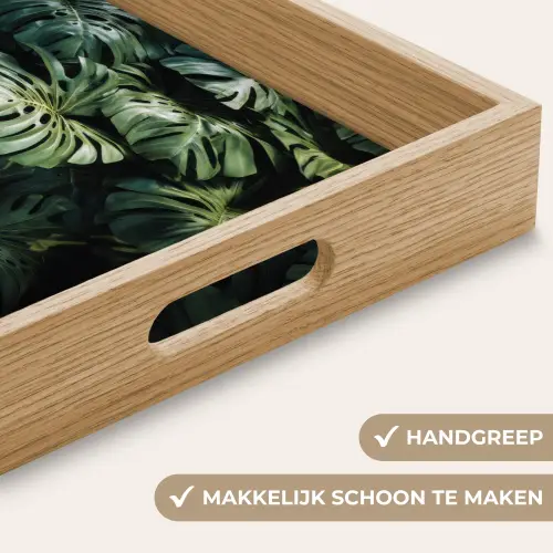 Plant - Monstera - Lichtinval Dienblad Rechthoek middel -USP_HandgreepNL
