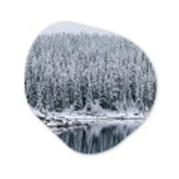 Bos - Reflectie - Meer - Winter - Serene Wandcirkel Organisch Aluminium middel -3d