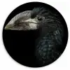 Vogel - Portret - Neushoornvogel - Zwart - Dieren Wandcirkel kunststof plaat 5mm dik klein -3d