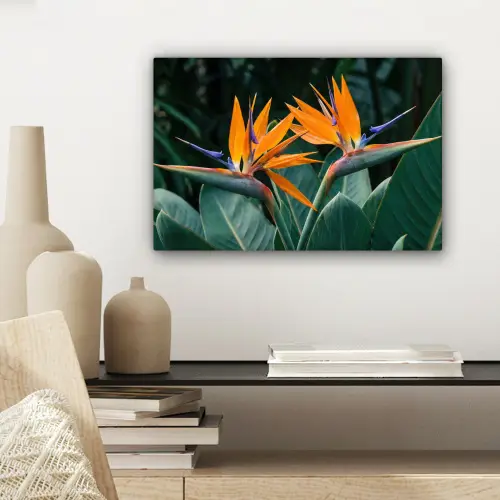 Paradijsvogel - Bloem - Exotisch canvas 2cm klein -sfeer6
