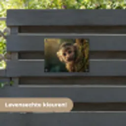Aap - Boomstronk - Bruin tuinposter los doek klein -sfeer3
