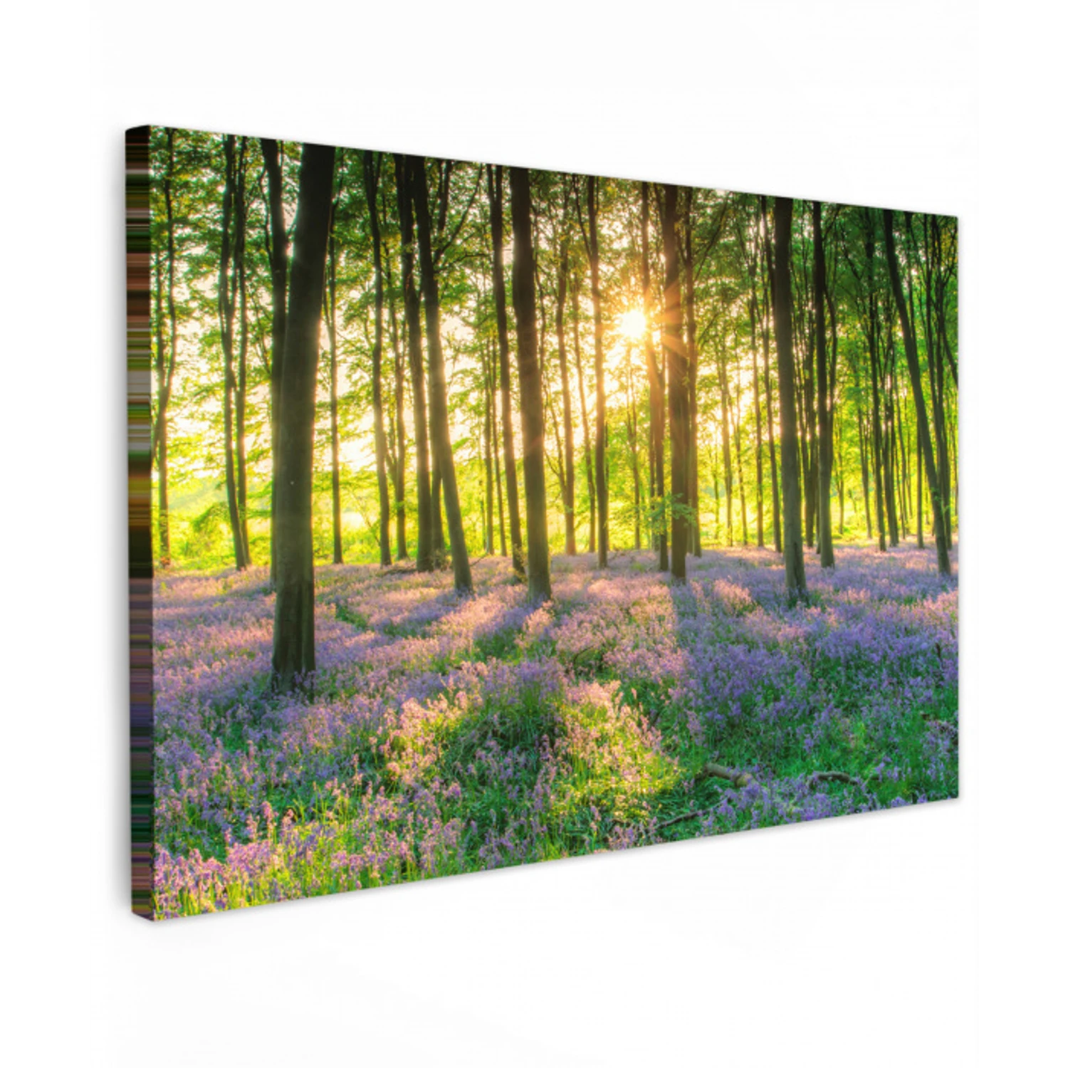 Lente - Bos - Zon canvas 2cm klein -z3d