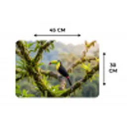 Toekan - Jungle - Natuur - Kleurrijk Placemat vinyl groot -specs