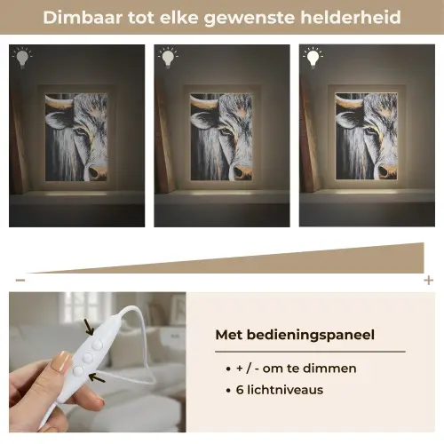 Stier - Hoorns - Snuit - Goud Light Box met kabel (Tafellamp) klein -USP_dimbaarNL