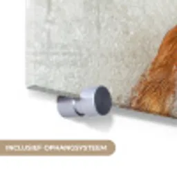 Hond - Bad - Champagne - Handdoek plexiglas 5mm klein -zzsysteem_NL