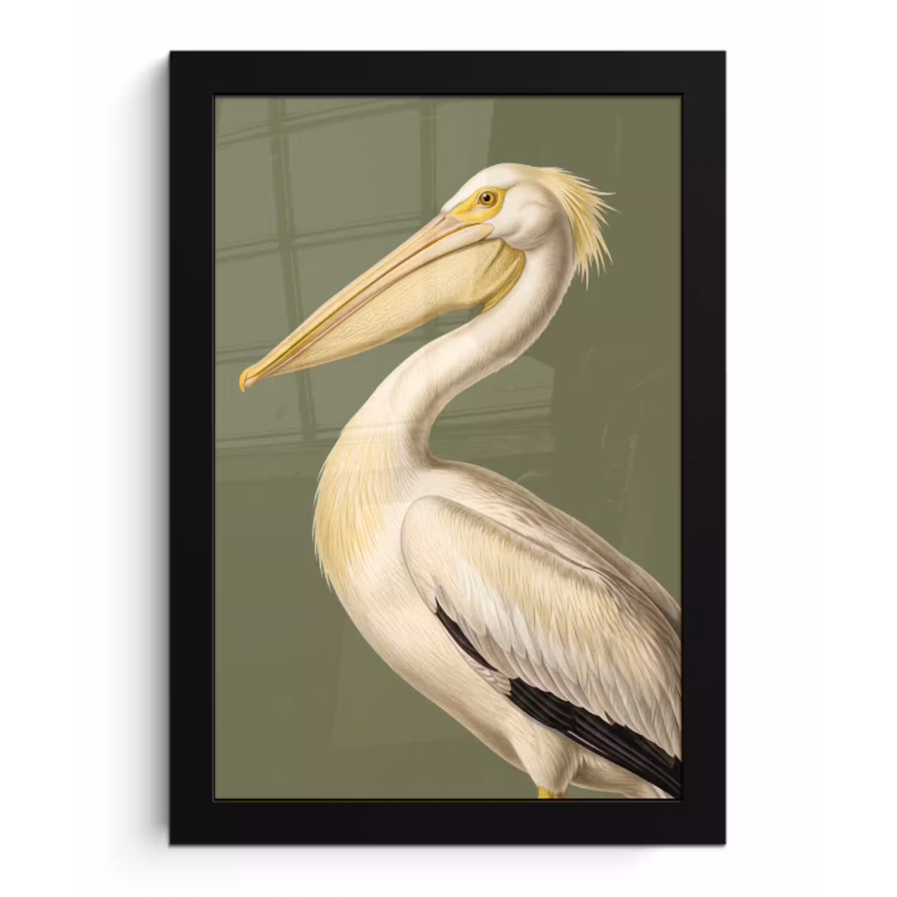 Pelikaan - Wit - Vogel - Klassiek - Natuur fotolijst zwart zonder passe partout klein -3d