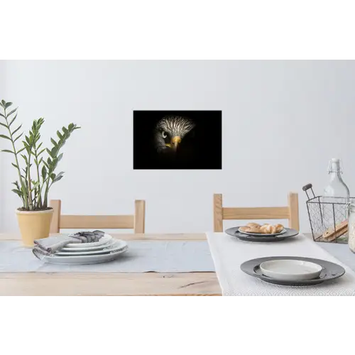 Vogel - Adelaar - Roofvogels - Oog - Snavel - Licht Muursticker klein -eettafel