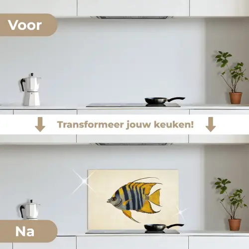 Vis - Sierlijk - Vinnen - Illustratie keuken achterwand spatscherm klein -voor_na_NL