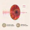 Oranje - Gerbera - Intens Akoestische PET Vilt - Rond klein -USP_NL