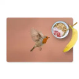 Roodborst - Natuur - Roze Placemat vinyl groot -zzzproduct_Kitchenyeah-website