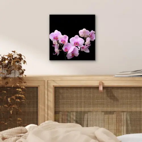 Orchidee - Bloemen - Roze - Flora aluminium wit klein -sfeer3