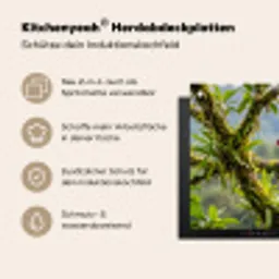 Toekan - Jungle - Natuur - Kleurrijk Inductie beschemer met haakjes klein -ky-usp-de