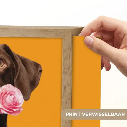 Hond - Oranje - Roos - Valentijn Light Box met batterij (Wandlamp) middel -USP_websiteprintNL