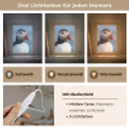 Papegaaiduiker - Portret - Natuur Light Box met kabel (Kinderlampje) klein -USP_lichtkleurDE