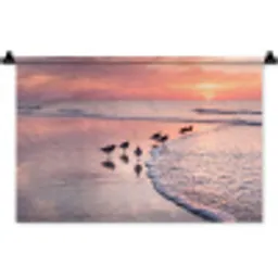Meeuwen - Strand - Zee - Roze Wandkleed katoen klein -zz3d