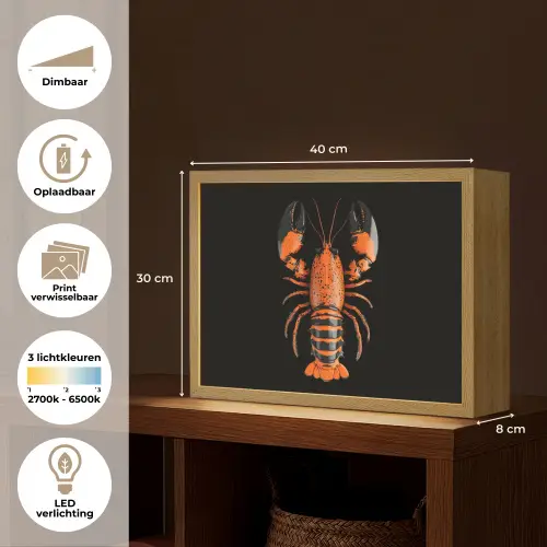 Kreeft - Oranje - Zwart - Modern Light Box met batterij (Wandlamp) middel -USP_websiteoverzichtNL