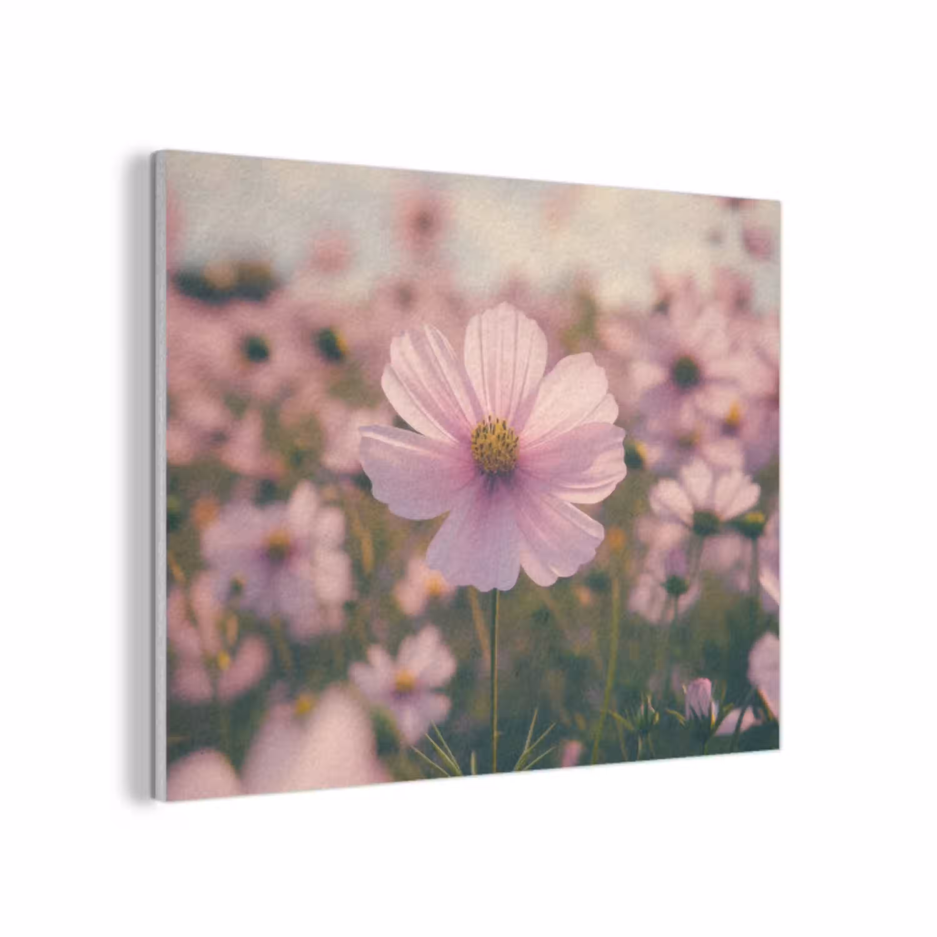 Bloemen - Paars - Wazig PET vilt klein -3d