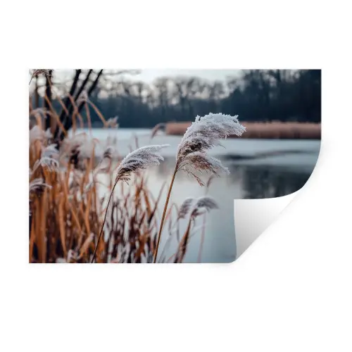 Riet - Gras - Natuur - Winter - Meer Muursticker klein -3d