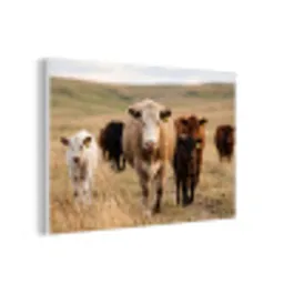 Runderen - Kudde - Landschap - Weide - Rustig forex 5mm xxl -3d