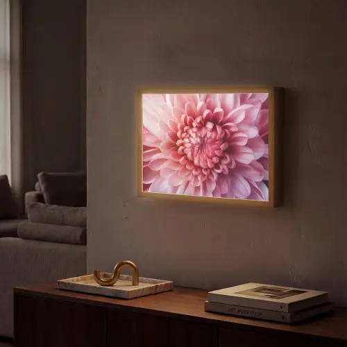 Dahlia - Bloem - Close up - Roze Light Box met batterij (Wandlamp) middel -sfeer1