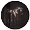 Krachtig - Paard - Donker Fotolijst rond zonder passe partout klein -3d