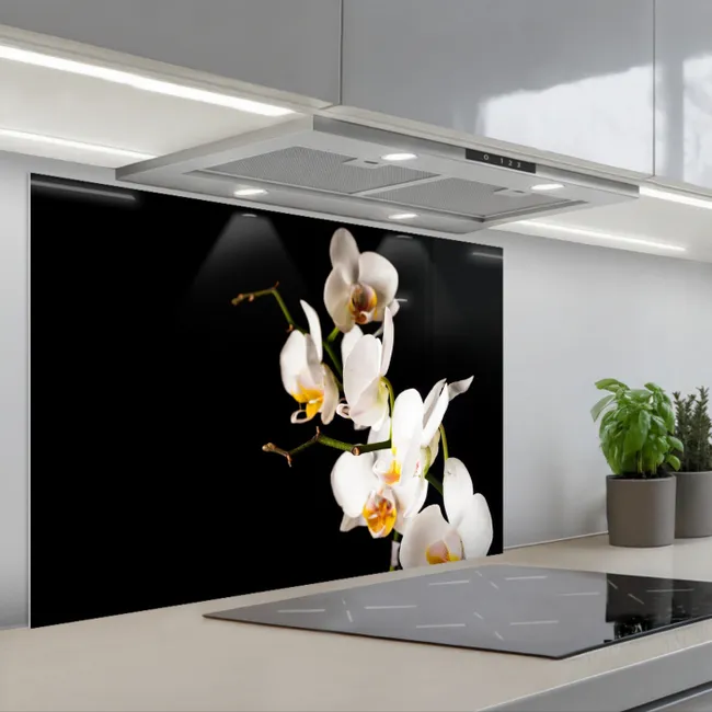 Fond de hotte - Orchidées contrastées