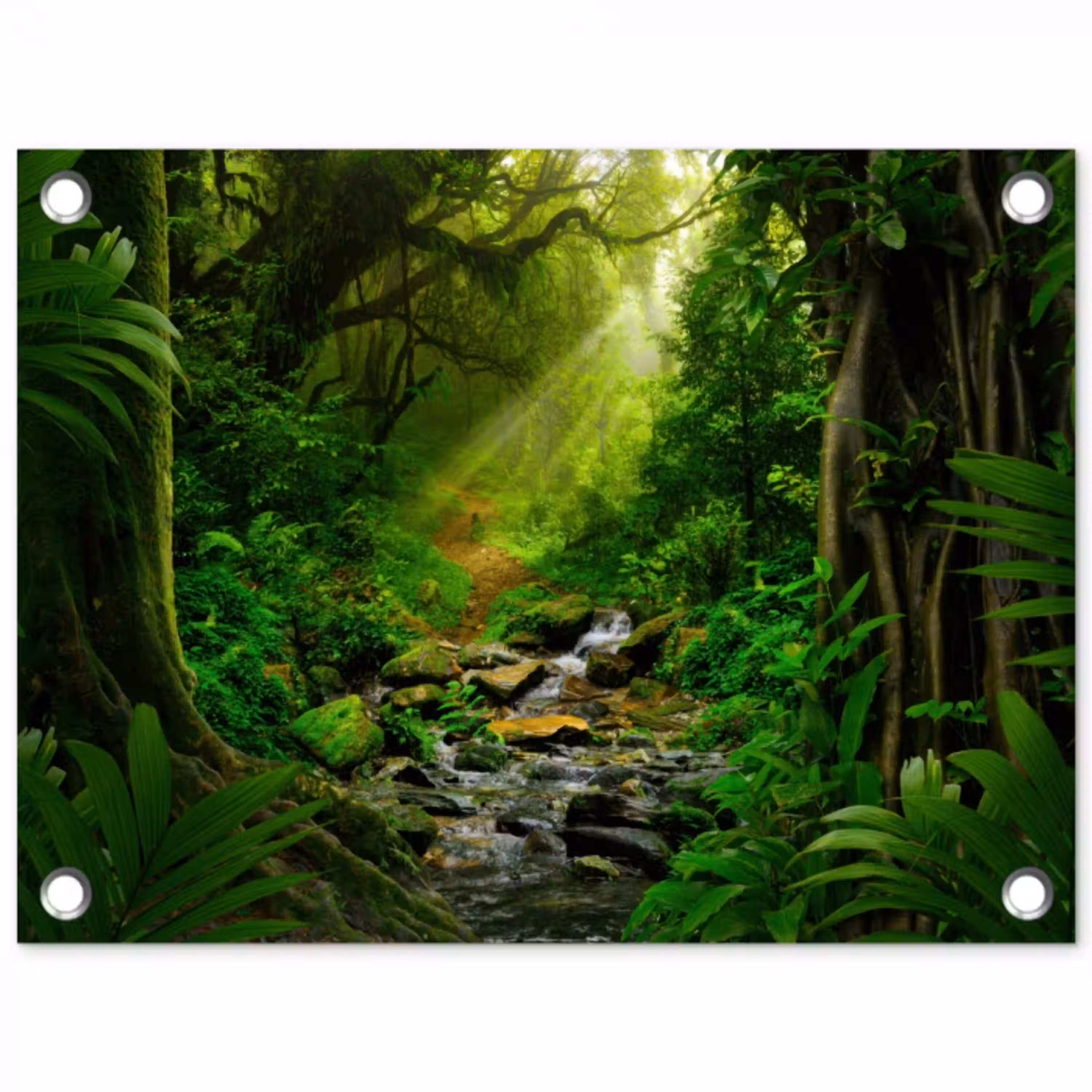 Zonnige Stralen in het Regenwoud tuinposter los doek klein -3d