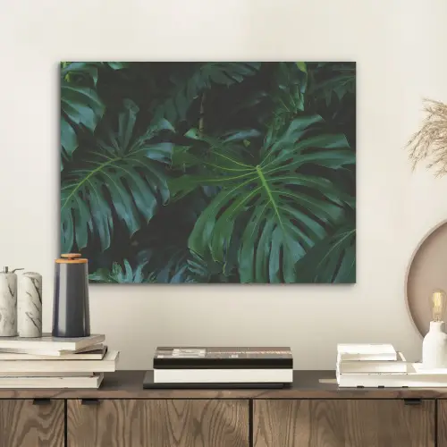 Bladeren - Tropisch - Monstera - Jungle PET vilt klein -sfeer1