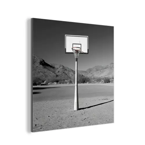 Basketbalpaal - Landschap - Zand - Wit aluminium wit klein -3d