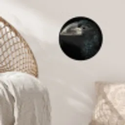 Vogel - Portret - Neushoornvogel - Zwart - Dieren Wandcirkel behangsticker klein -sfeer4