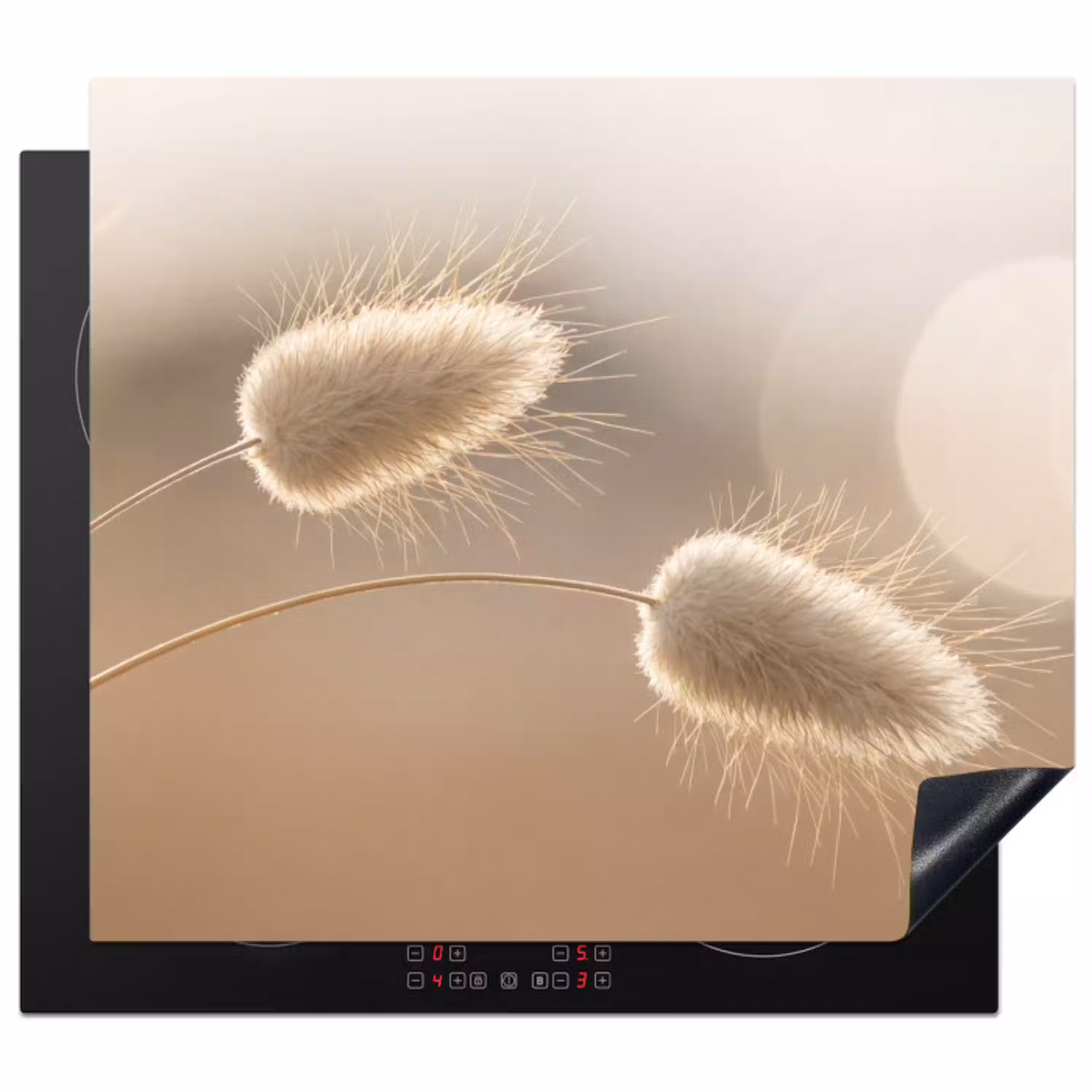 Hazestaartgras - Graanharen - Zonlicht Inductie beschermer vinyl 3mm middel -3d