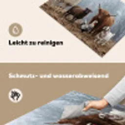 Boerderijdieren - Groep - Mist - Natuur - Rustiek Inductie beschemer met haakjes klein -ky-schoon-de