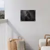 Portret - Paard - Zwart tuinposter los doek klein -sfeer8
