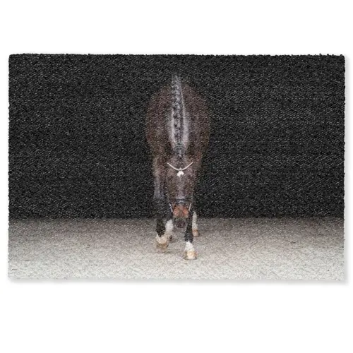 Paard - Modern - Portret Deurmat klein -zkaufland3d