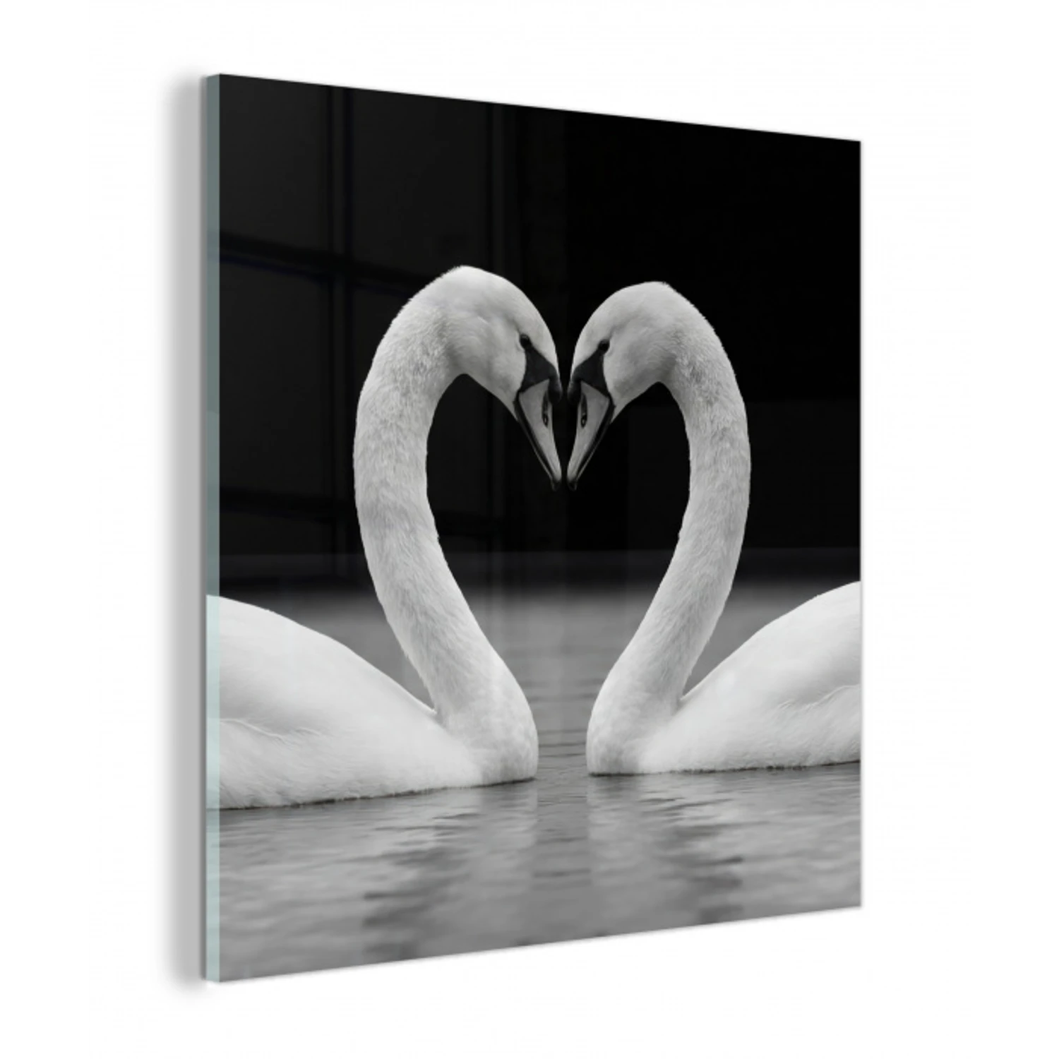 Zwanen - Hart - Zwart - Wit plexiglas 5mm klein -z3d