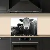Koeien - Zwart - Wit keuken achterwand spatscherm klein -sfeer1