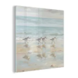 Vogels - Strand - Zee plexiglas 5mm klein -z3d