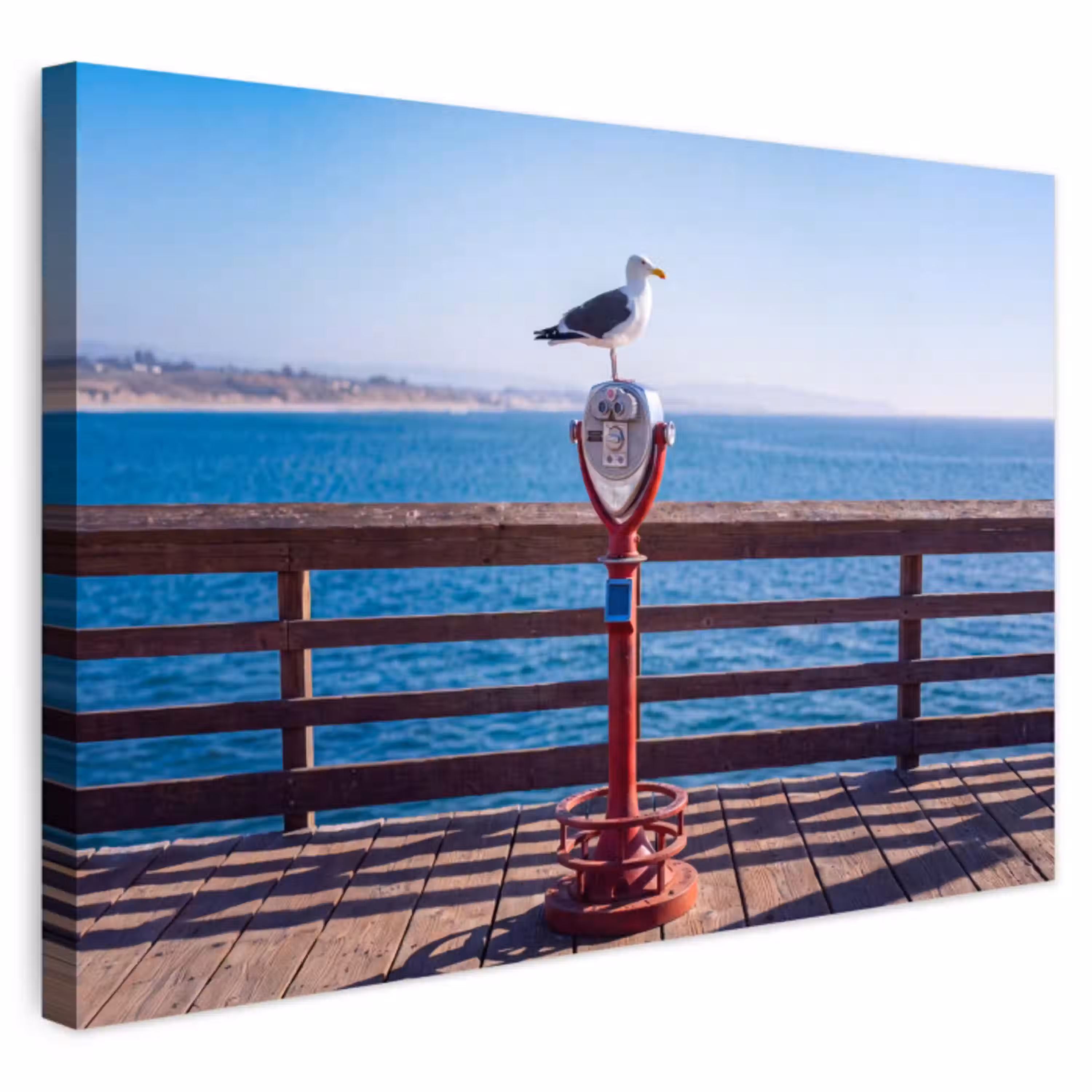 Vogel - Verrekijker - Kust - Zee - Blauw Tuinposter op houten frame 2 cm dik klein -3d