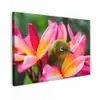 Tropische vogel tussen roze bloem Tuinposter op houten frame 2 cm dik klein -3d