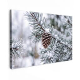 Dennenappel - Tak - Sneeuw - Winter - Sfeervol canvas 2cm klein -z3d