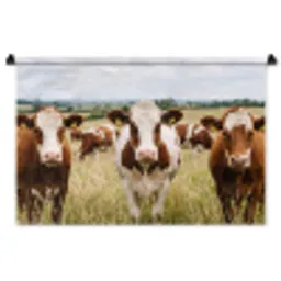 Koeien - Portret - Weide - Boerderij - Nieuwsgierig Wandkleed katoen middel -zz3d