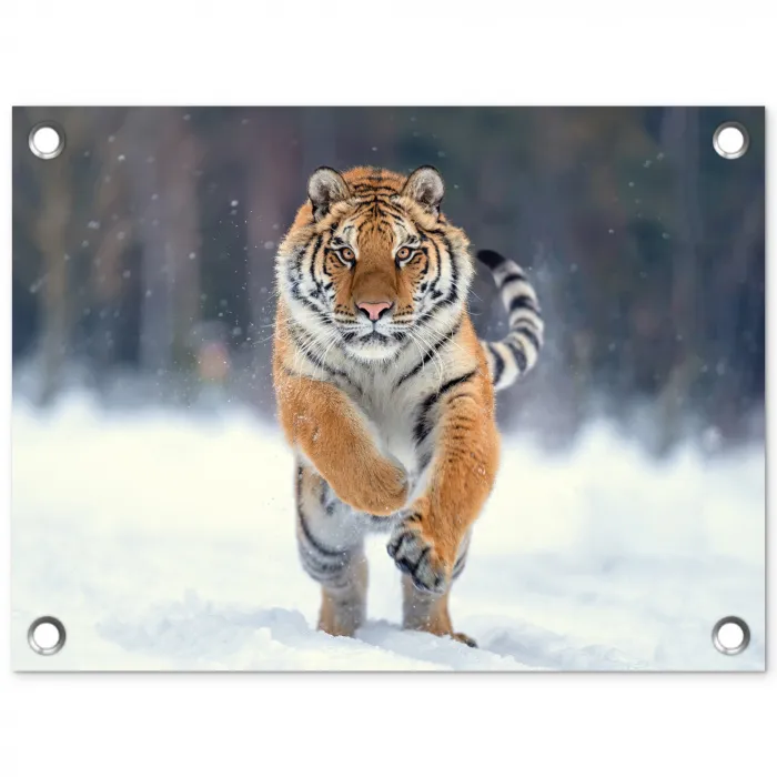 Tijger rennend door de sneeuw tuinposter los doek klein -3d