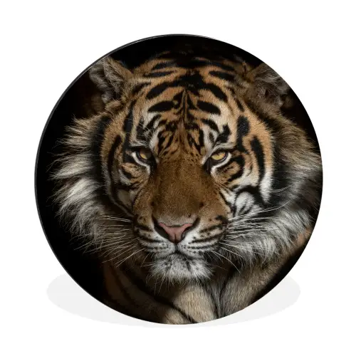 Tijger - Wilde dieren - Portret Wandcirkel aluminium klein -3d