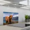 Schotse Hooglander - Berg - Water - Natuur - Koe keuken achterwand spatscherm klein -3d_schuin