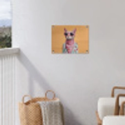 Zonnebril - Kat - Sjaal - Bloemen tuinposter los doek klein -sfeer8