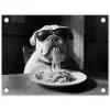 Hond - Bulldog - Pasta - Bril - Stoer - Dieren tuinposter los doek klein -3d