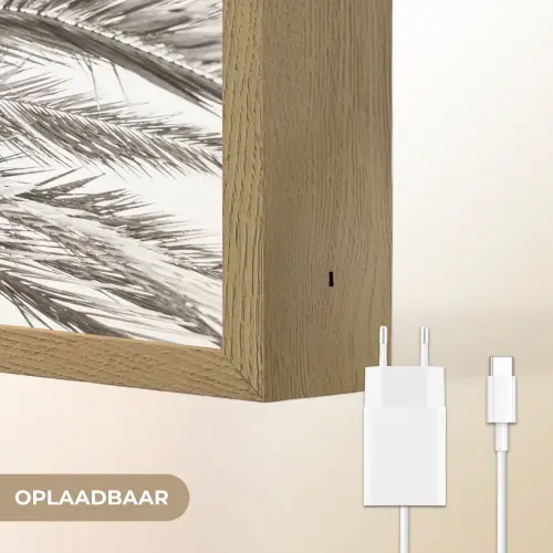 Palmboom - Tropisch - Zwart - Wit Light Box met batterij (Wandlamp) middel -USP_websiteoplaadbaarNL